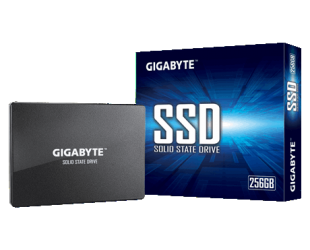 SSD diskas Gigabyte GP-GSTFS31256GTND 256 GB, SSD interface SATA, Write speed 500 MB/s, Read speed 520 MB/s