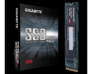 SSD diskas Gigabyte GP-GSM2NE8256GNTD 256 GB, SSD interface M.2 NVME, Write speed 800 MB/s, Read speed 1200 MB/s