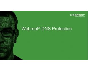 Antivirusinė programa Webroot DNS Protection with GSM Console, trukmė 1 metai, licencija 10-99 vartotojams