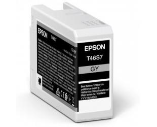Rašalo kasetė Epson UltraChrome Pro 10 ink T46S7 Ink cartrige, Grey