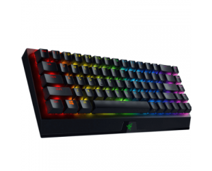 Žaidimų klaviatūra Razer BlackWidow V3 Mini HyperSpeed Mechanical Gaming Keyboard, RGB LED light, US, Wireless, Black, Yellow Switch
