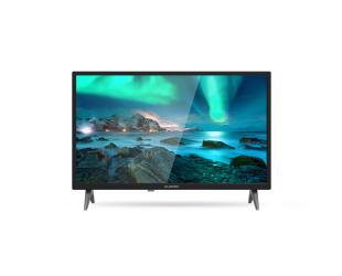 Televizorius Allview 24ATC6000-H 24“ (61cm) HD Ready LED TV