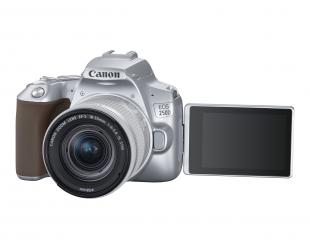 Fotoaparatas Canon EOS 250D EF-S 18-55mm IS STM lens Brown Silver