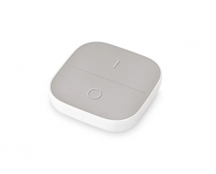 WiZ Portable Button