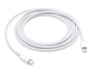 Kabelis Apple Lightning cable - 2 m