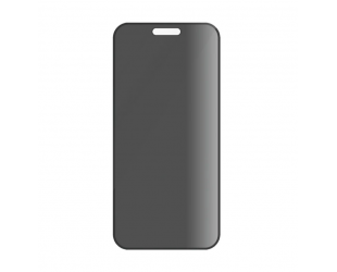 Apsauginis stiklas PanzerGlass Apple iPhone 16 Pro Juoda Skaidri