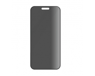 Apsauginis stiklas PanzerGlass Apple iPhone 16 Juoda Skaidri