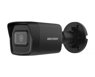 Tinklo kamera Hikvision DS-2CD1043G2-I 4 MP