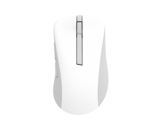 Pelė Asus MD102 2.4 GHz Bluetooth Balta