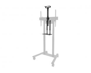 Laikiklis Neomounts AV1-875BL, universalus, juodas