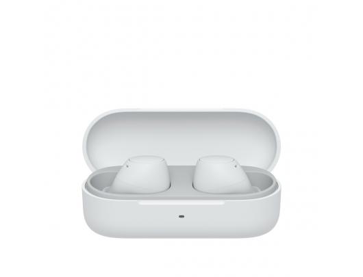 Ausinės SONY WF-C510W
