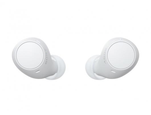 Ausinės SONY WF-C510W