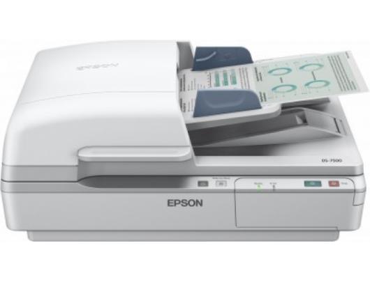 Skeneris Epson WorkForce DS-6500 Flatbed and ADF, Business Scanner