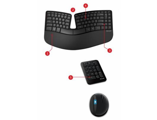 Klaviatūra+pelė Microsoft L5V-00009 DK, belaidė