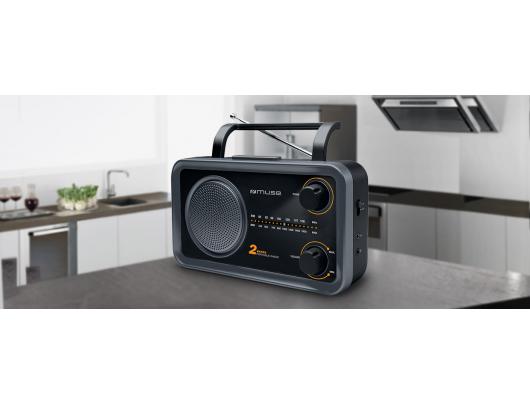 Radijo imtuvas Muse 2-bands M-06DS Grey, AUX in