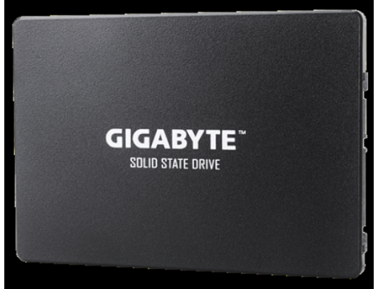 SSD diskas Gigabyte GP-GSTFS31256GTND 256 GB, SSD interface SATA, Write speed 500 MB/s, Read speed 520 MB/s