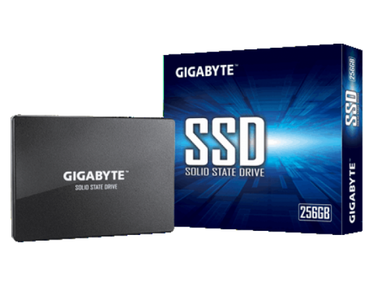 SSD diskas Gigabyte GP-GSTFS31256GTND 256 GB, SSD interface SATA, Write speed 500 MB/s, Read speed 520 MB/s