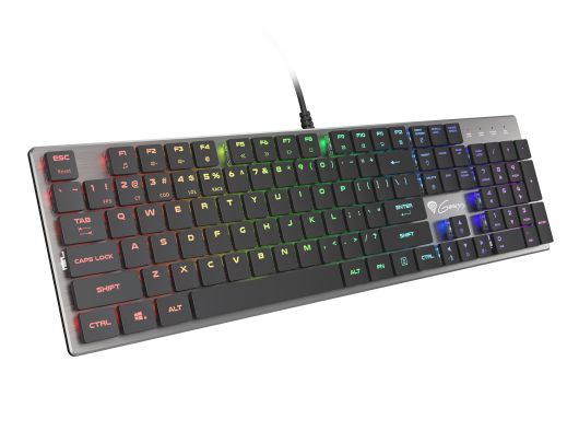 Klaviatūra GENESIS THOR 420 Gaming Keyboard, US Layout, Wired, Silver