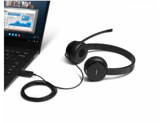 Ausinės Lenovo 100 USB Stereo Headset Microphone, USB 2.0 Type A