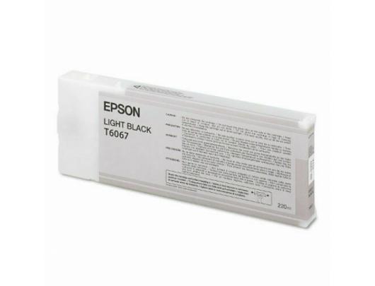 Epson T606700 Ink Cartridge, Light Black