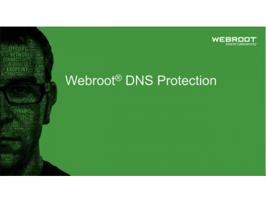 Antivirusinė programa Webroot DNS Protection with GSM Console, trukmė 1 metai, licencija 1-9 vartotojams