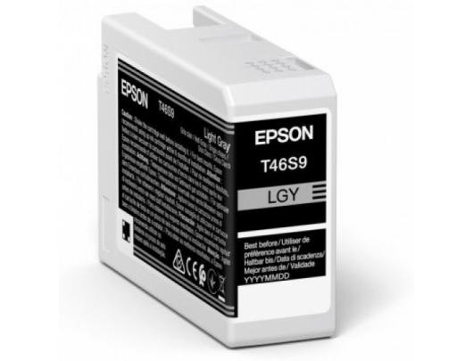Rašalo kasetė Epson UltraChrome Pro 10 ink T46S9 Ink cartrige, Light Gray