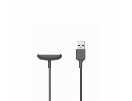 Įkrovimo laidas skirtas Fitbit Inspire 2, USB