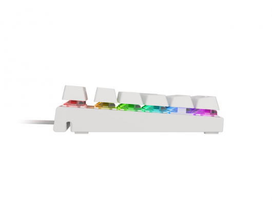 Žaidimų klaviatūra Genesis THOR 303 TKL Gaming keyboard, RGB LED light, US, White, Wired, Brown Switch