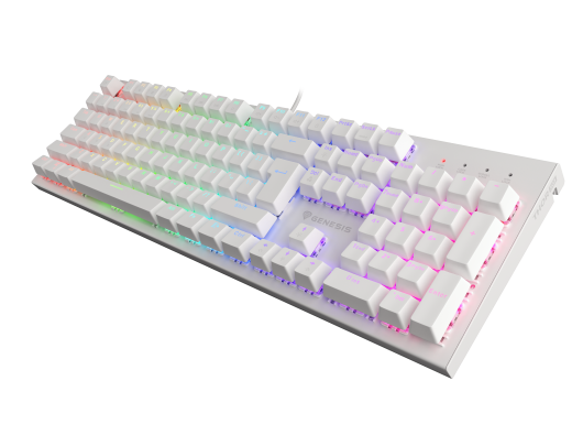 Žaidimų klaviatūra Genesis THOR 303 Gaming keyboard, RGB LED light, US, White, Wired, Brown Switch