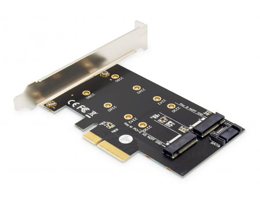 Adapteris Digitus DS-33170, sąsajos, įstatoma kortelė