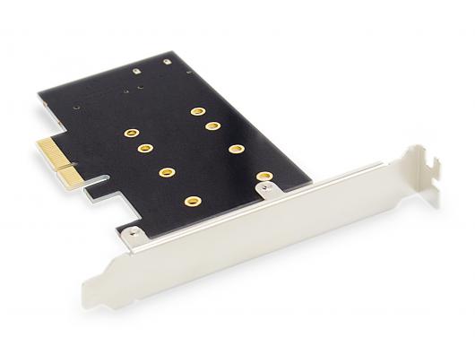 Adapteris Digitus DS-33170, sąsajos, įstatoma kortelė