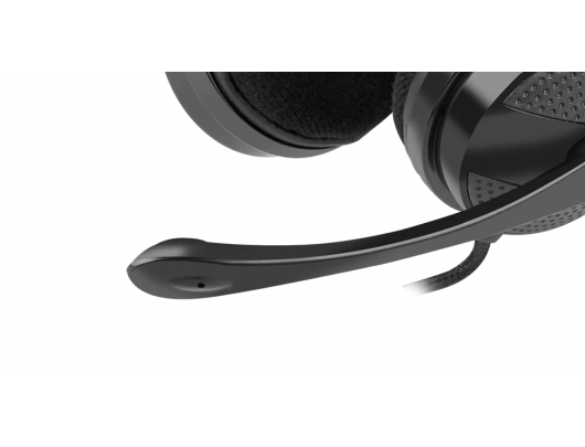 Ausinės Natec Headset Canary Go On-Ear, Microphone, Noice canceling, 3.5 mm, Black