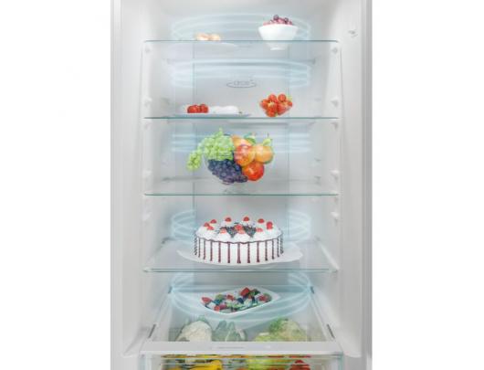 Šaldytuvas Candy Refrigerator CCE4T620EW Fresco Energy efficiency class E, Free standing, Combi, Height 200 cm, No Frost system, Fridge net capacity 2