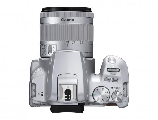 Fotoaparatas Canon EOS 250D EF-S 18-55mm IS STM lens Brown Silver