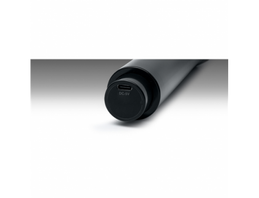 Mikrofonas Muse Wireless Microphone MC-30 WI