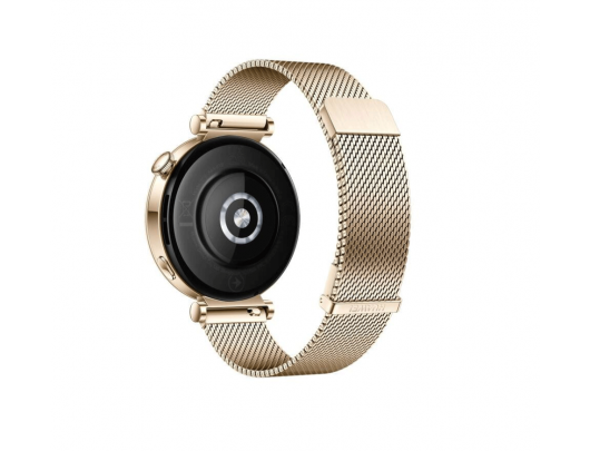 Išmanusis laikrodis Huawei Watch GT GT 4 4 Smart watch Smart watch Stainless steel 41mm 41 mm Gold Dustproof Waterproof