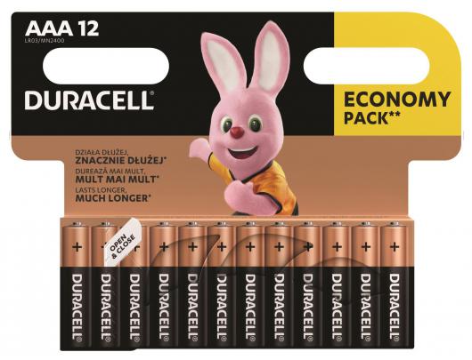 Baterija DURACELL Basic MN2400 AAA BL12 Duracell