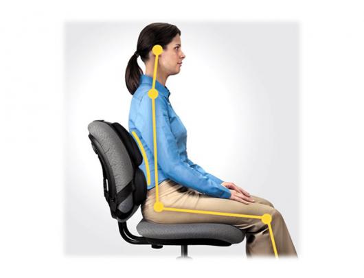 Nugaros atrama Fellowes Back support