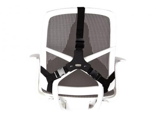 Nugaros atrama Fellowes Back support