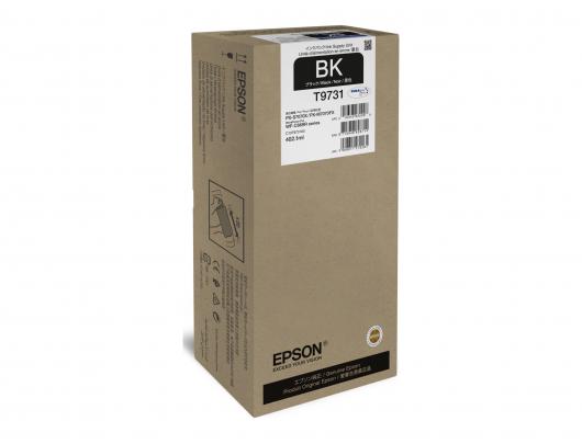 Epson Epson T9731 Black Ink pack