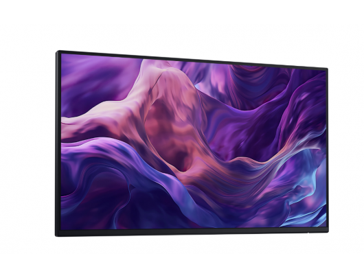 Monitorius Dell LCD P2425H, 24" IPS FHD/1920x1080/DP,HDMI,USB-C,USB, VGA/No Stand/Black
