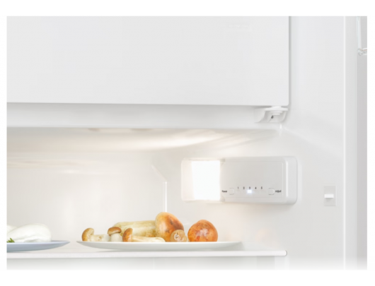 Šaldytuvas Candy CM4SE68W Refrigerator, E, Free standing, Height 82.6 cm, Fridge net 95 L, Freezer net 16 L, White
