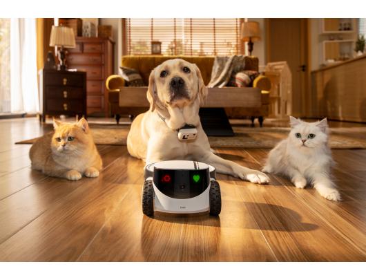 IP kamera Family Robot IP Camera | ROLA PetPal | 5 MP | Micro SD, Max. 256GB