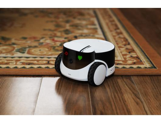 IP kamera Family Robot IP Camera | ROLA PetPal | 5 MP | Micro SD, Max. 256GB