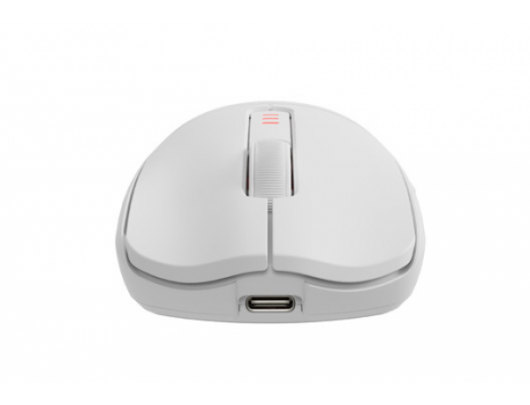 Pelė Zircon 500 | Wireless/Wired | Gaming Mouse | 2.4 GHz, Bluetooth, USB | White