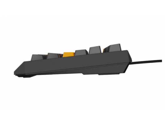 Mechaninė klaviatūra Genesis THOR 230 Anchor Gray Negative
