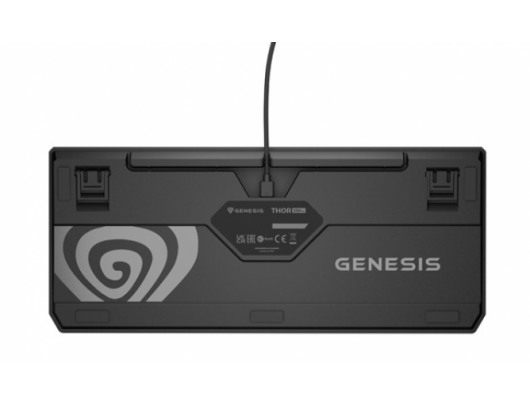 Mechaninė klaviatūra Genesis THOR 230 Anchor Gray Negative