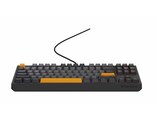 Mechaninė klaviatūra Genesis THOR 230 Anchor Gray Negative