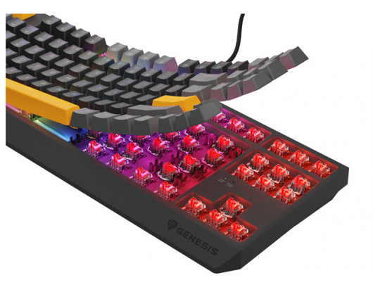 Klaviatūra THOR 230 | Mechanical Gaming Keyboard | Wired | US | Anchor Gray Positive | USB Type-A | Outemu Red