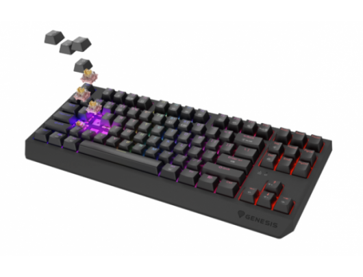 Klaviatūra THOR 230 | Mechanical Gaming Keyboard | Wireless | US | Black | 2.4 GHz, Bluetooth, USB | Outemu Panda